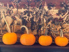 Dahlonega GA Locally Grown banner